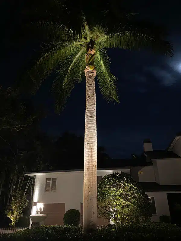 Outdoor & Landscape Lighting Services in Tarpon Springs