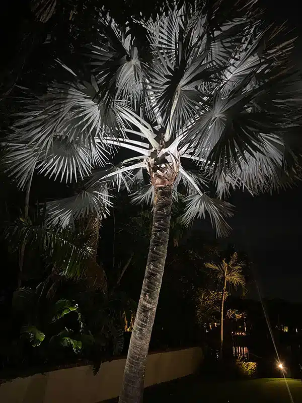 Outdoor & Landscape Lighting Services in Tarpon Springs