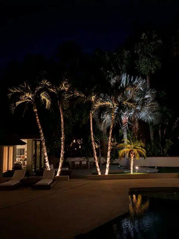 Outdoor & Landscape Lighting Services