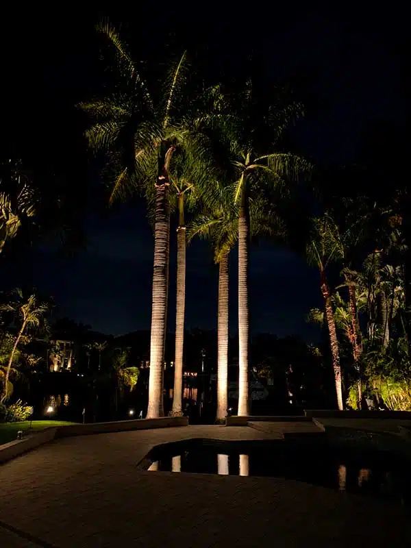 Outdoor & Landscape Lighting Services